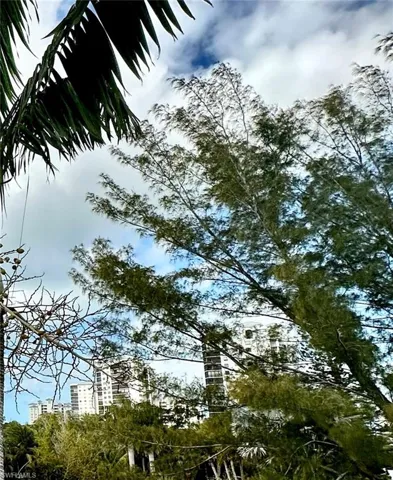 Treetop view from the third level deck, of a few Residential Bayfront Towers