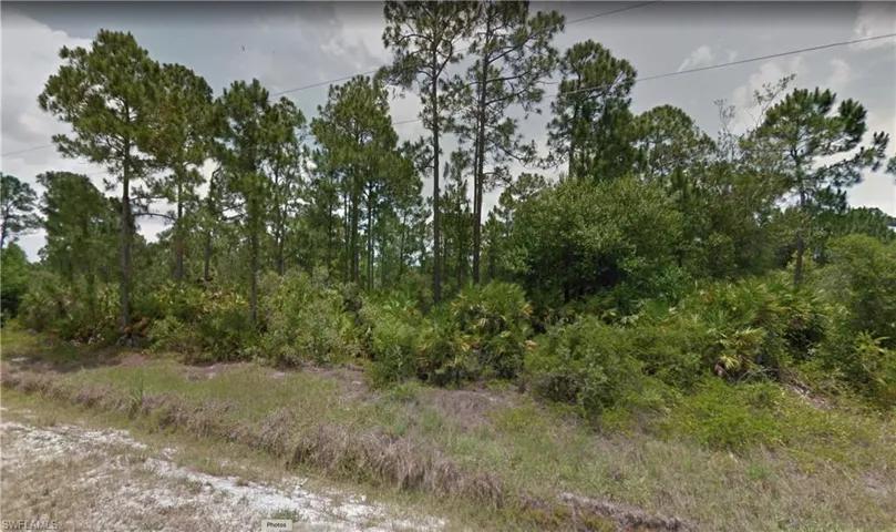 View of local wilderness