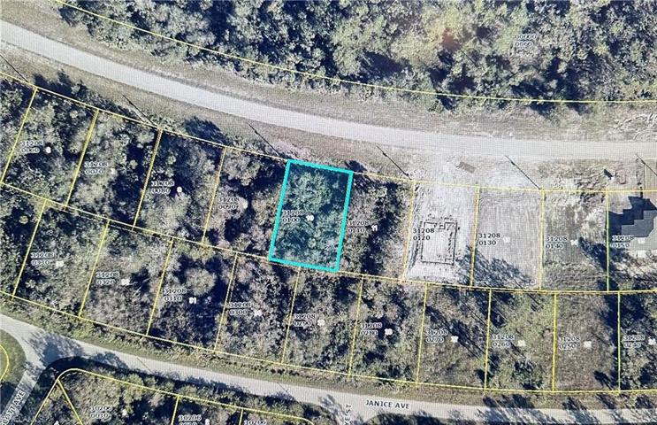 543 Greenbriar BLVD, LEHIGH ACRES FL 33972