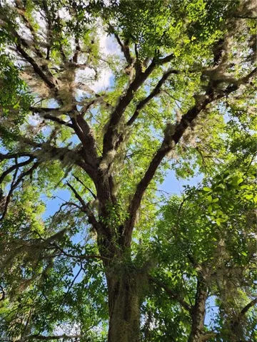 2060 Fort Denaud RD, LABELLE FL 33935