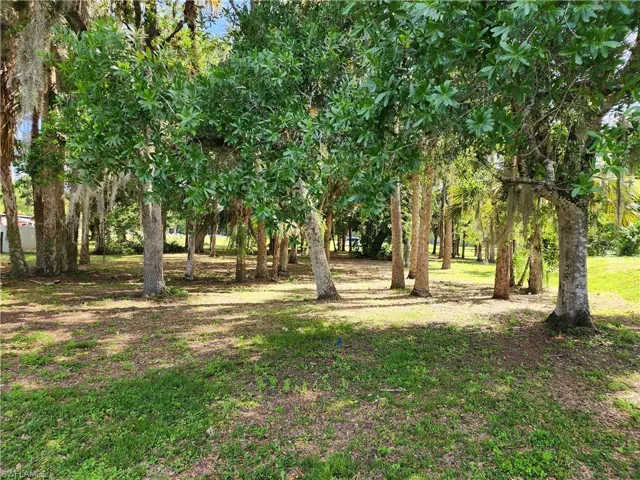 2060 Fort Denaud RD, LABELLE FL 33935