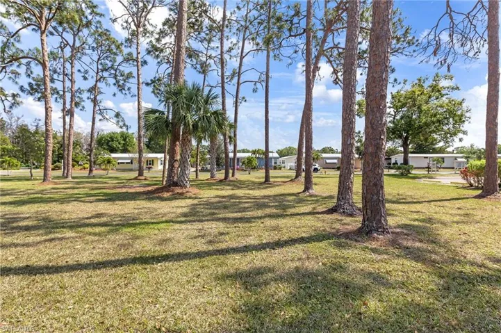 View of the yard area where cornhole and other games are played