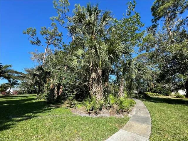 Surrounding community featuring a yard