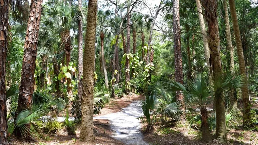 View of nature