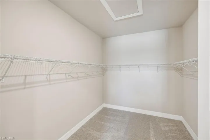 Spacious closet featuring carpet flooring