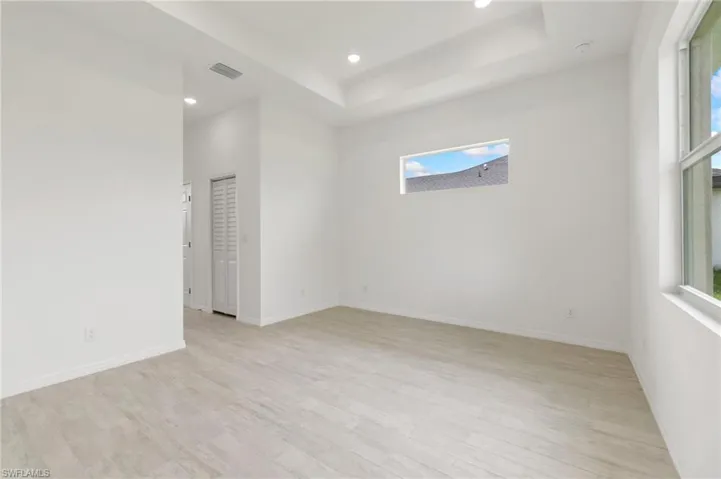 Empty room featuring a tray ceiling, light hardwood / wood-style flooring, and a wealth of natural light