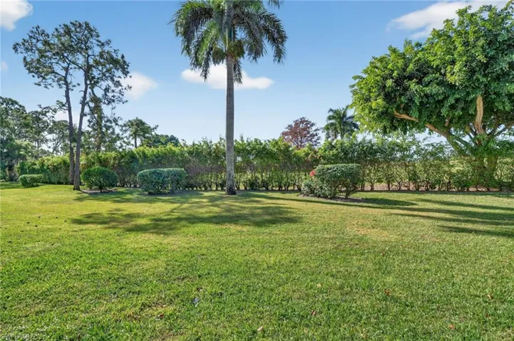 View of grassy yard