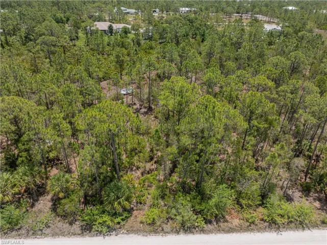 Drone / aerial view of a heavily wooded area