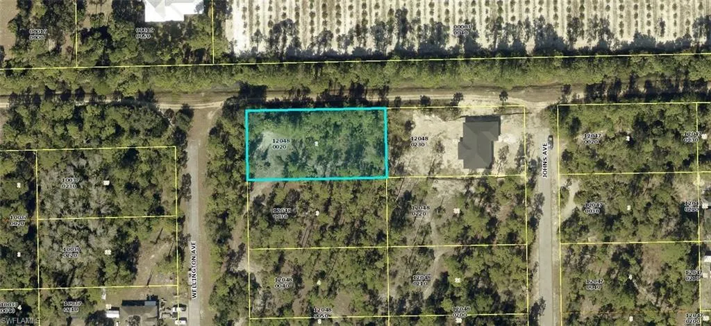 2320 Wellington Ave, Alva, Florida 33920