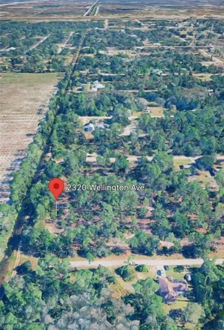 2320 Wellington Ave, Alva, Florida 33920