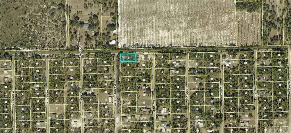2320 Wellington Ave, Alva, Florida 33920