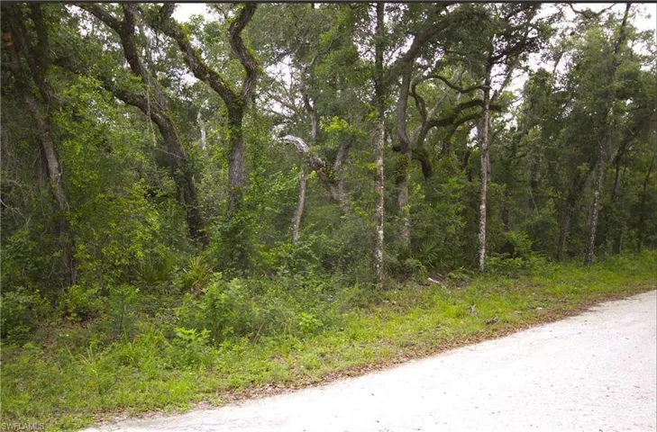 View of road with a view of trees
