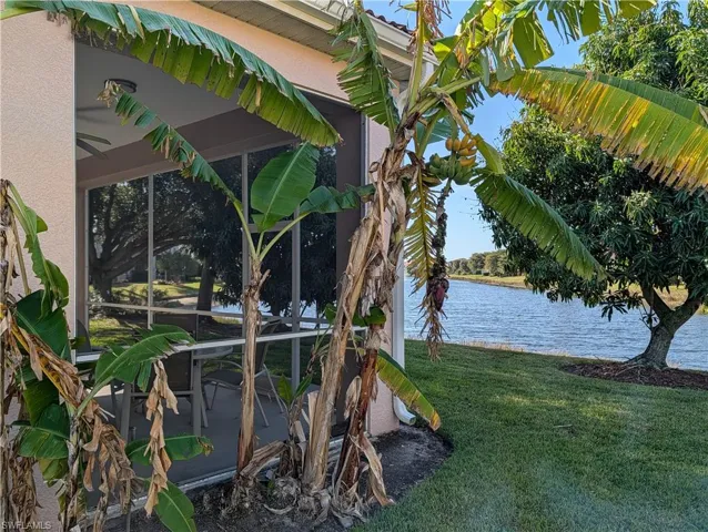 Your Own Banana Plant