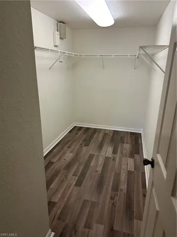 Spacious closet featuring dark hardwood / wood-style floors