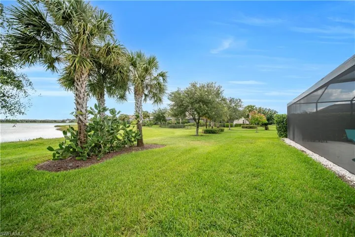 Expansive lawn with mature palm trees and tropical landscaping