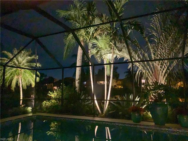 Beautiful landscaping lighting