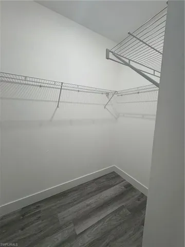 Spacious closet featuring dark wood-type flooring