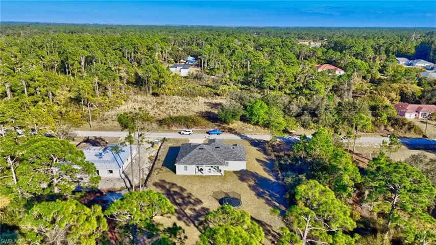 Bird's eye view of a forest