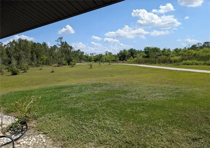 View of grassy yard