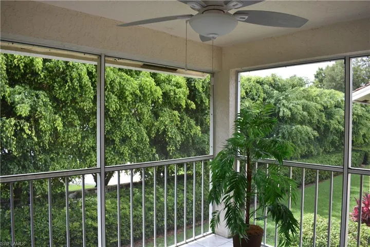 Screened Lanai View Before Bushes Trimmed