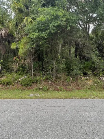 705 Cleveland Ave, Lehigh Acres, Florida 33972