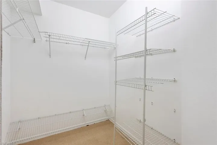 Spacious closet featuring light colored carpet