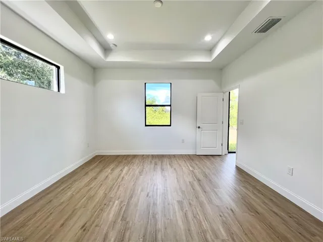 Spare room featuring a tray ceiling, light hardwood / wood-style flooring, and a healthy amount of sunlight