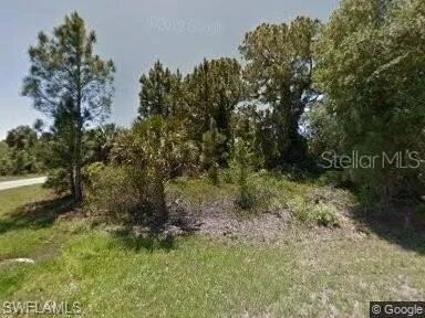 View of local wilderness