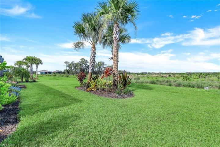 Beautiful unobstructed preserve view.