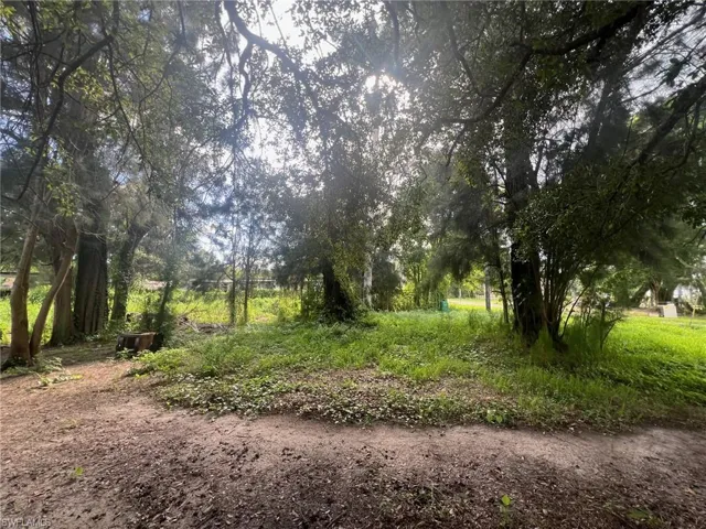 View of nature