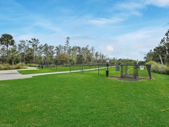 Dog Park