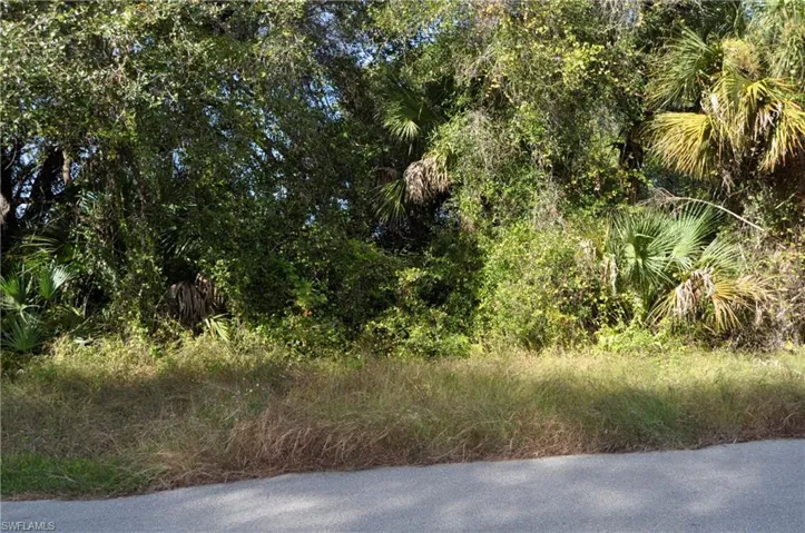 1013 Anderson St, Lehigh Acres, Florida 33974