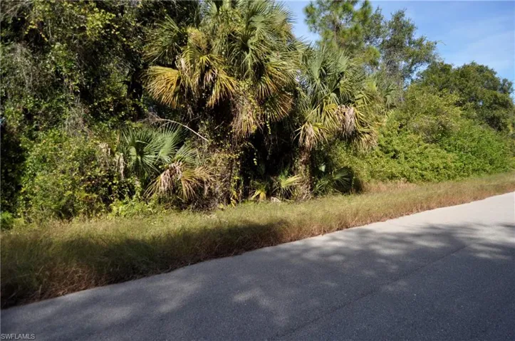 1013 Anderson St, Lehigh Acres, Florida 33974