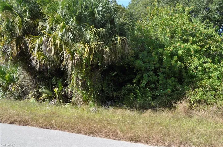 1013 Anderson St, Lehigh Acres, Florida 33974