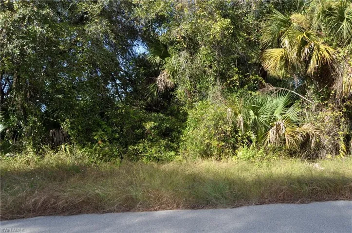 1013 Anderson St, Lehigh Acres, Florida 33974