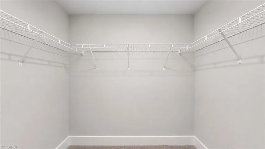 Spacious closet featuring white wire shelving, wrap-around design, light gray wall paint, white baseboards, and carpet flooring