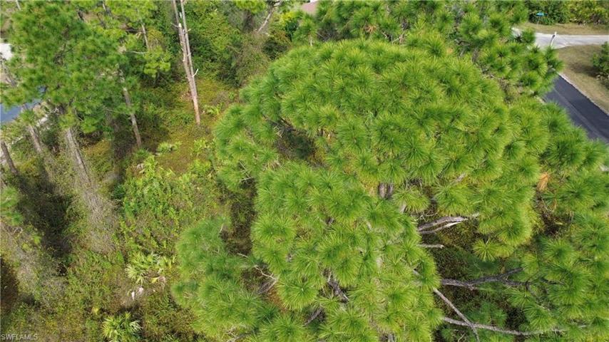 750 Genoa AVE S, LEHIGH ACRES FL 33974