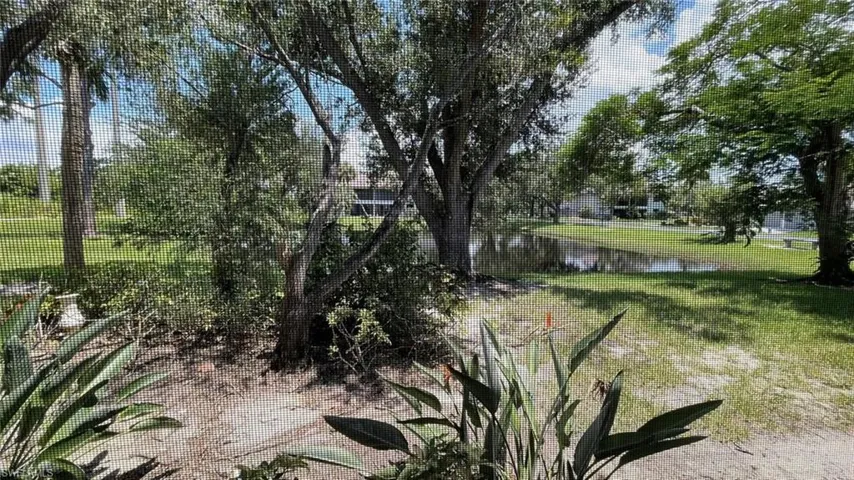 View of pond from Lanai