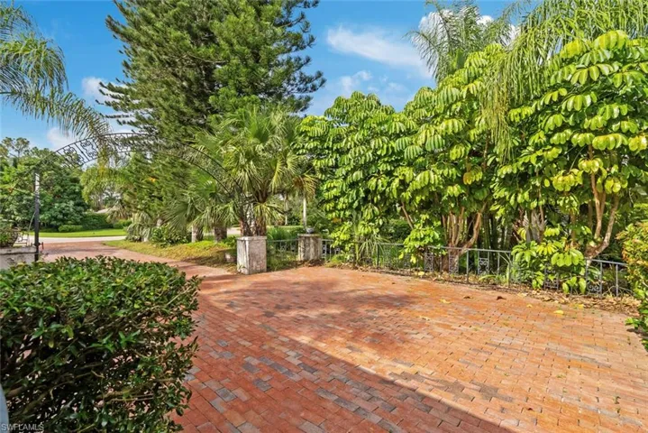 View of driveway and foliage