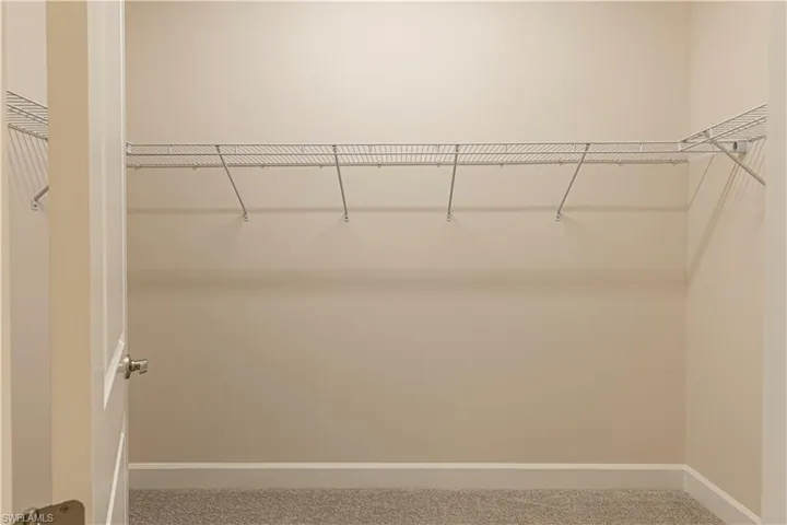 Walk in closet featuring carpet floors