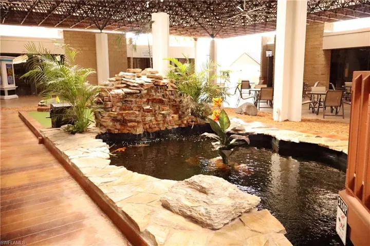 Koi Pond