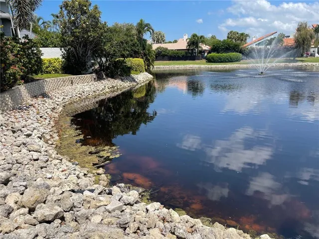 Lake Front View