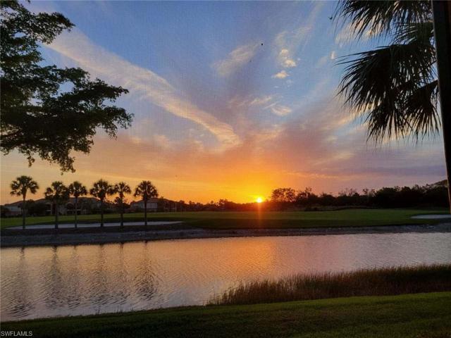 Rear View Sunset