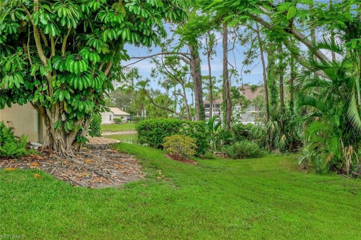 Back yard with view to pond