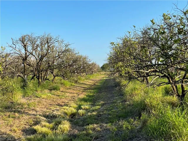 7050  6th  RD, Labelle, FL 33935