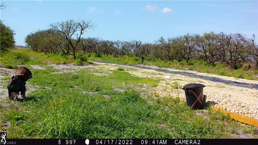 7050  6th  RD, Labelle, FL 33935