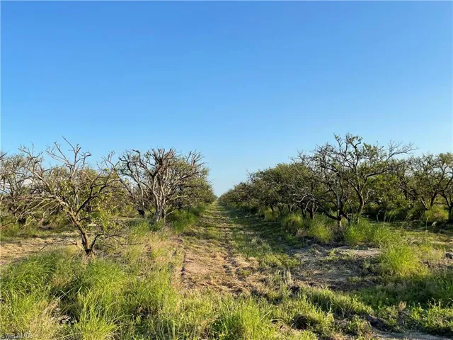 7050  6th  RD, Labelle, FL 33935