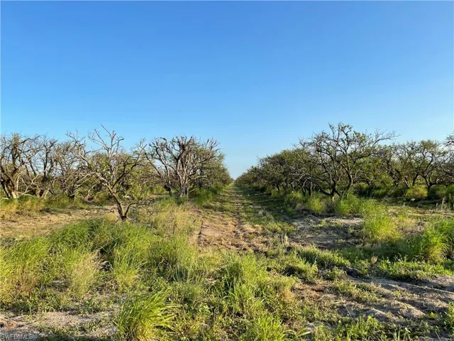 7050  6th  RD, Labelle, FL 33935
