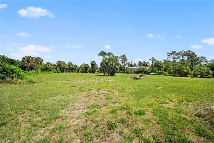 Expansive open lot featuring a primarily grassy ground cover and mature palm trees