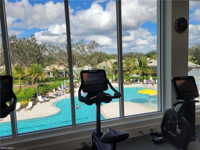view from Gym
